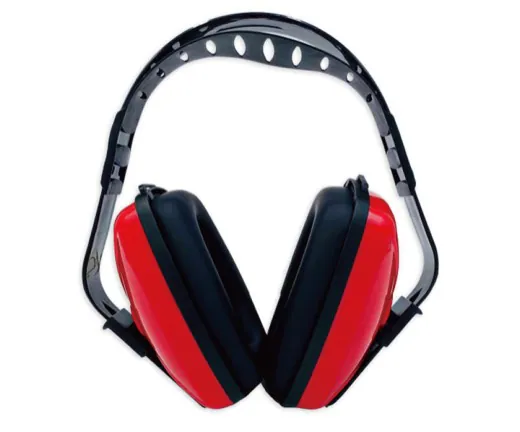 Hearing Protection 4