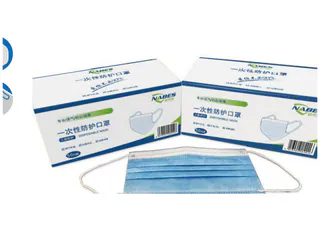 NBS9001 Adult Disposable Protective Mask